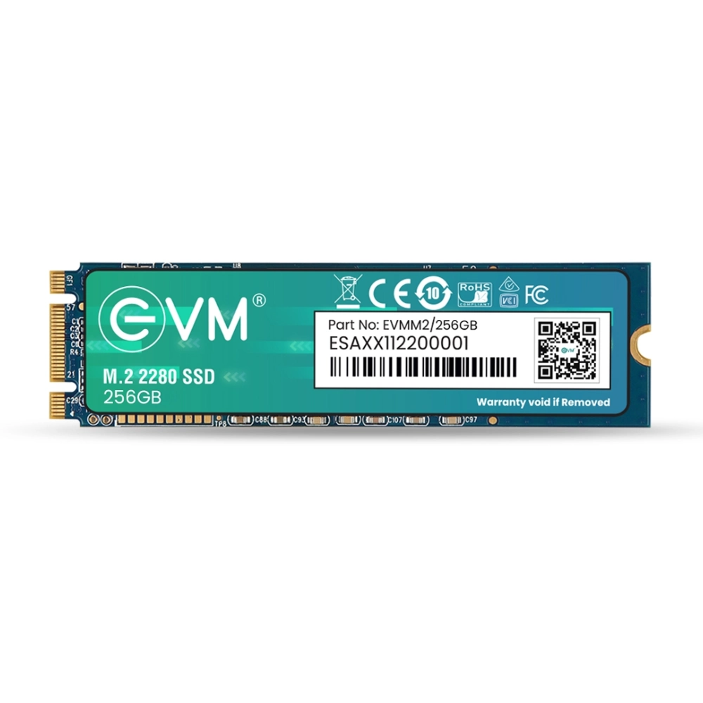 EVM Internal SSD 256GB M.2 view 2